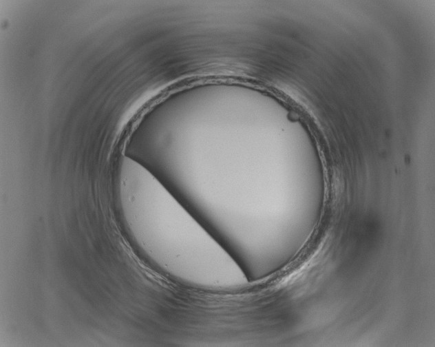 X0000062670925200512211031