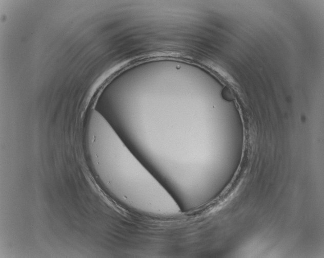 X0000062670933200512211031