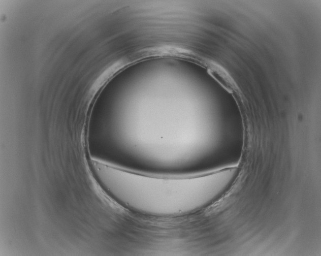 X0000062670946200512211031