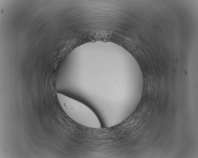 X0000062670962200512211030