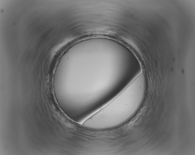 X0000062670971200512211030