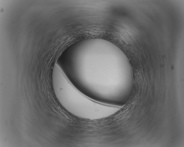 X0000062671009200512211029