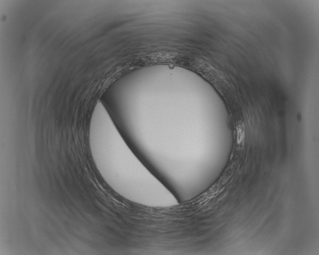 X0000062671011200512211029