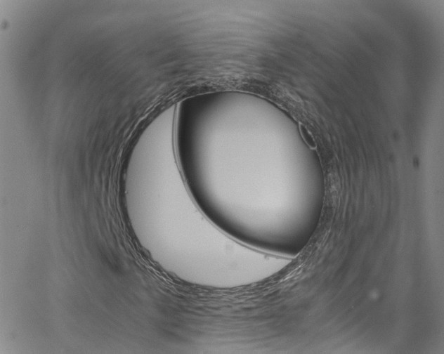 X0000062671057200512211029