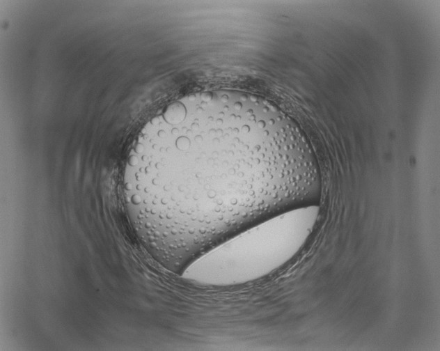 X0000062671059200512211029