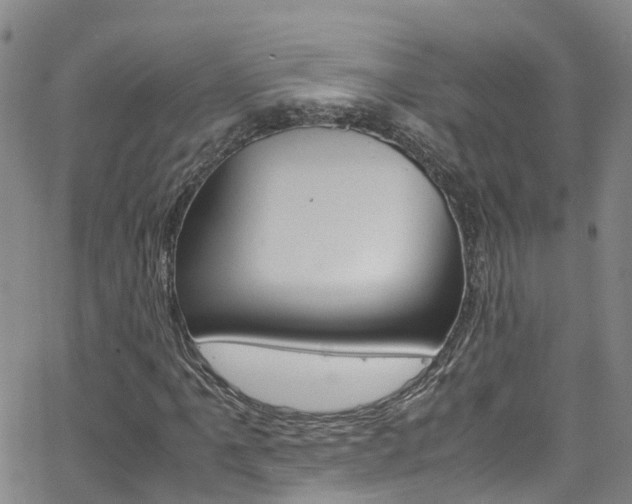 X0000062671061200512211029