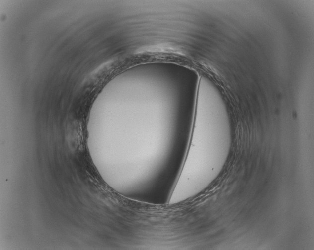 X0000062671062200512211029