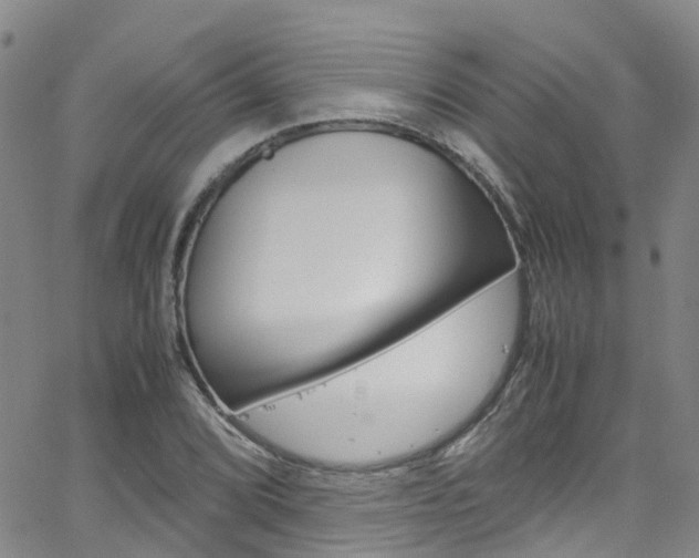 X0000062671072200512211029