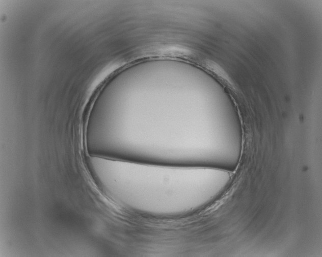 X0000062671079200512211029