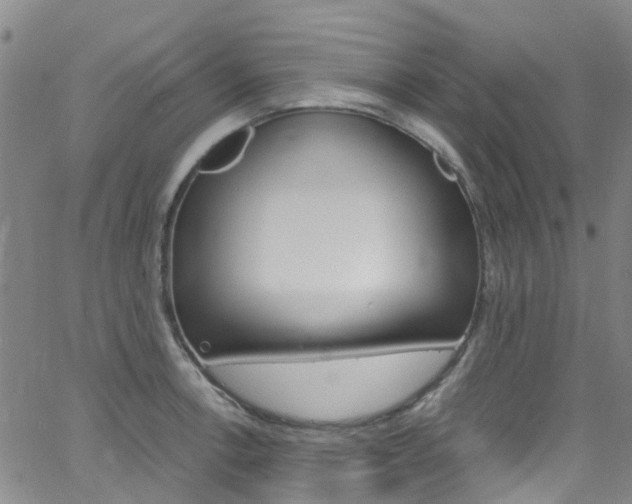 X0000062671138200512211028