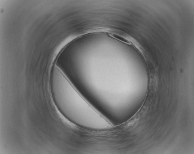 X0000062671143200512211028