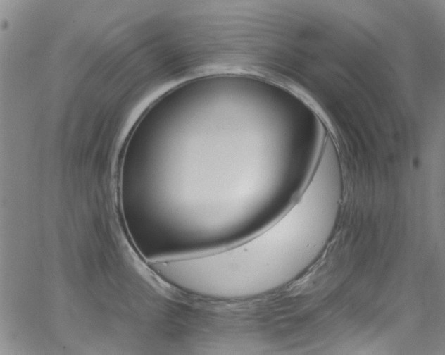 X0000062671148200512211028