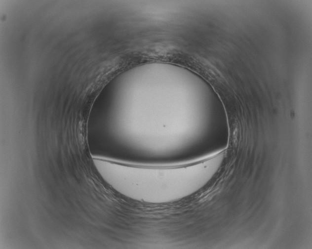 X0000062671156200512211027