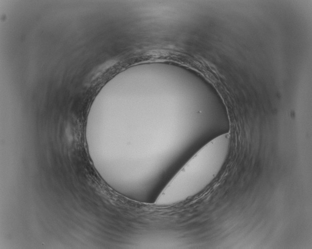 X0000062671158200512211027