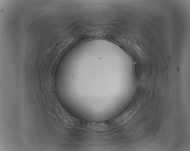 X0000062671201200512211026
