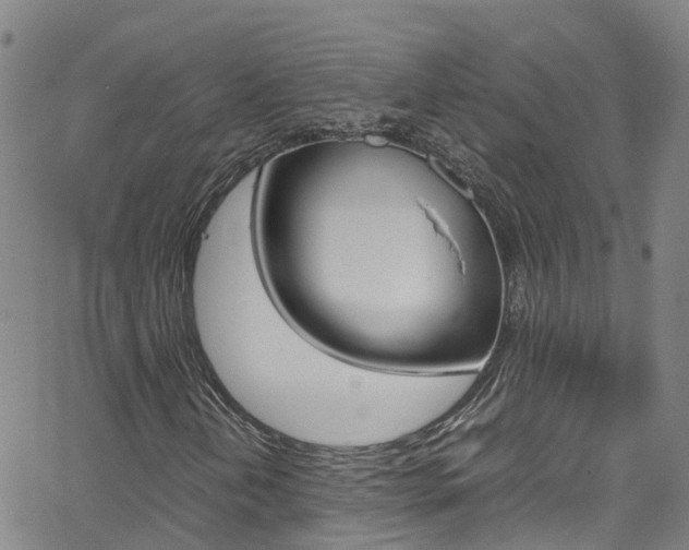 X0000062671202200512211026