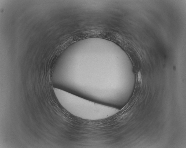 X0000062671203200512211026