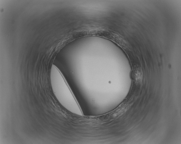 X0000062671204200512211026