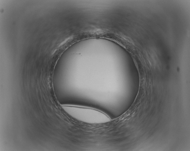 X0000062671205200512211026