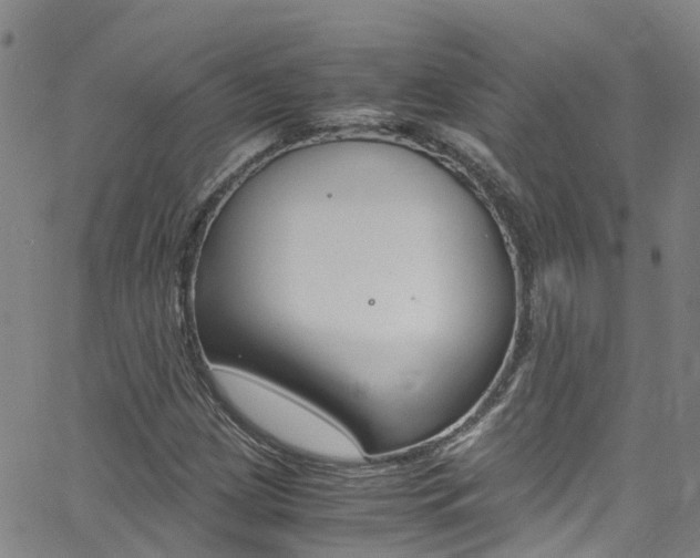 X0000062671209200512211026