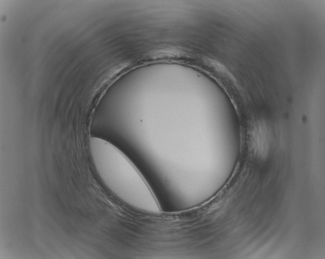 X0000062671217200512211026