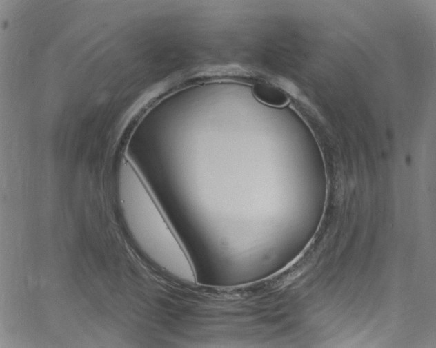 X0000062671221200512211026