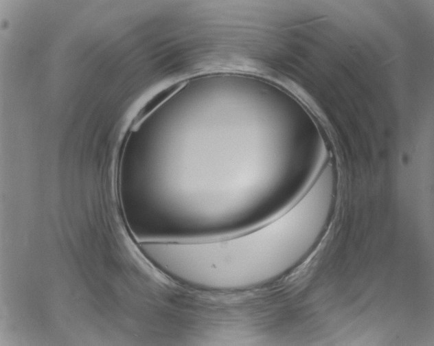 X0000062671246200512211026