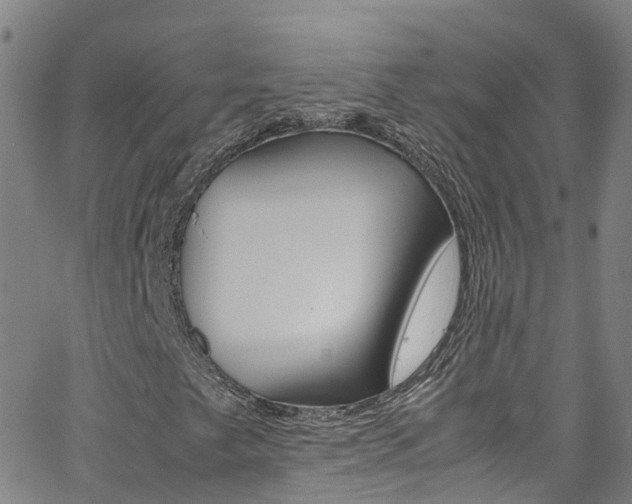 X0000062671249200512211026