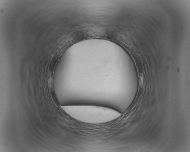 X0000062671251200512211026