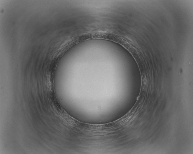 X0000062671252200512211026