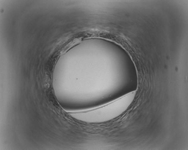 X0000062671253200512211026