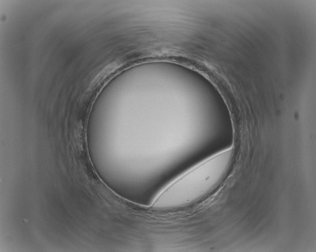X0000062671265200512211025
