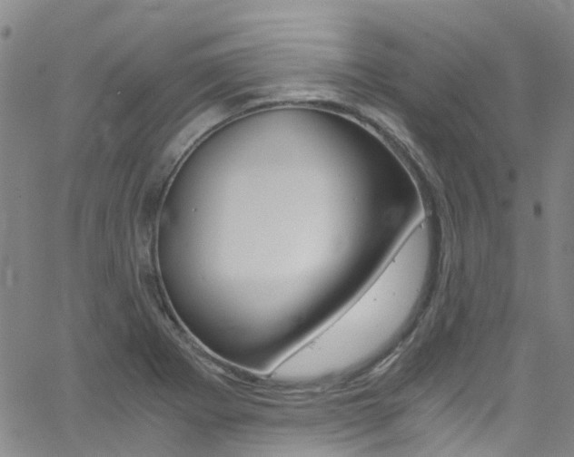 X0000062671273200512211025
