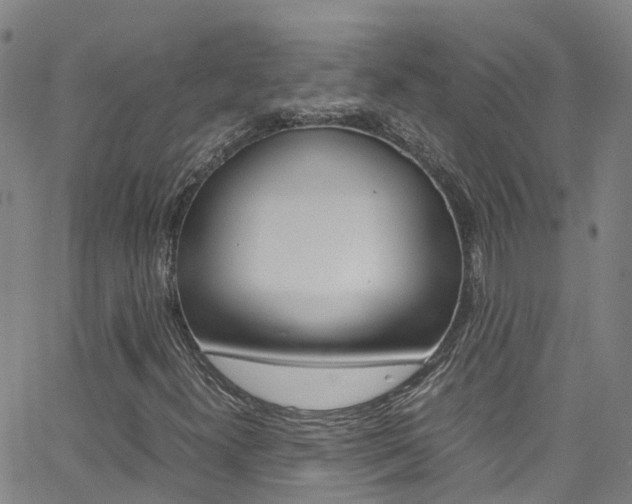 X0000062671300200512211024