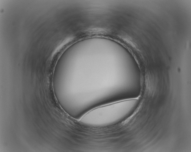 X0000062671309200512211024