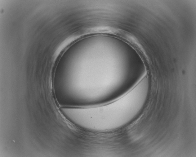 X0000062671328200512211025