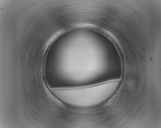 X0000062671330200512211025