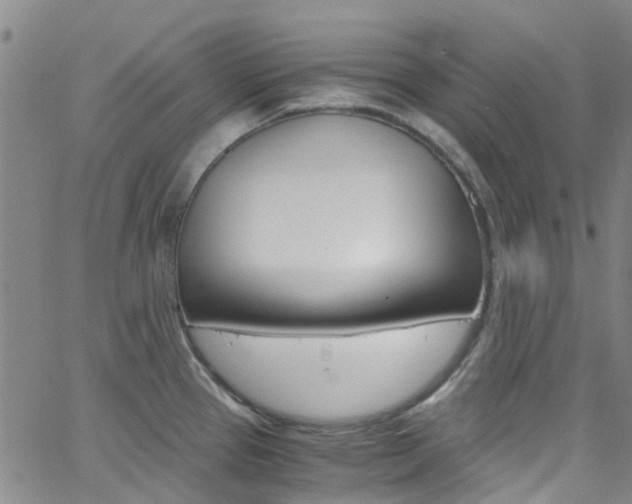X0000062671337200512211025