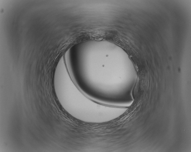 X0000062671345200512211024