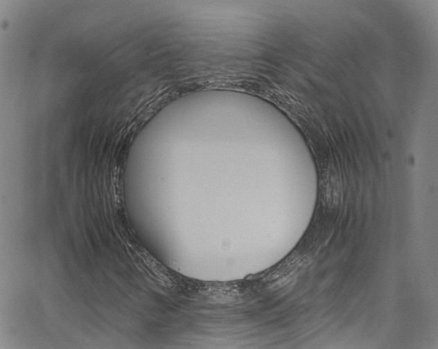 X0000062671346200512211024