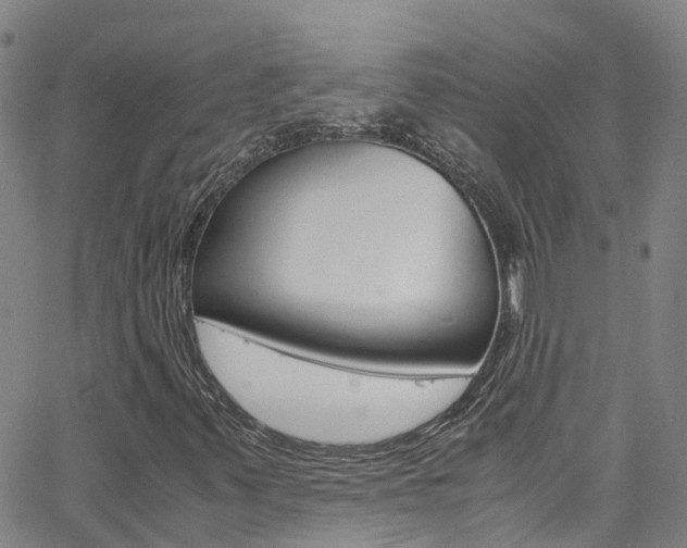 X0000062671347200512211024