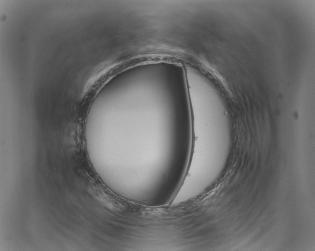 X0000062671352200512211024