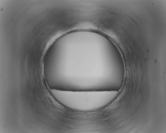 X0000062671366200512211024