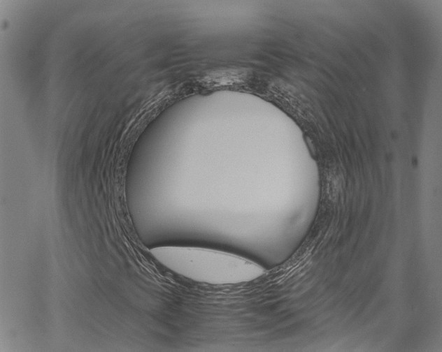 X0000062671393200512211022