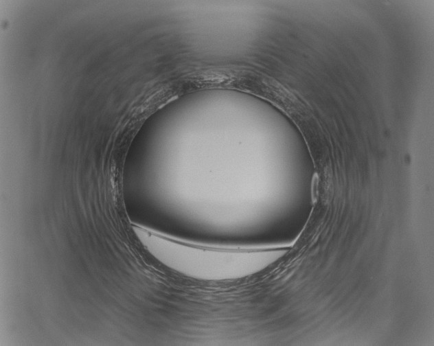 X0000062671394200512211022
