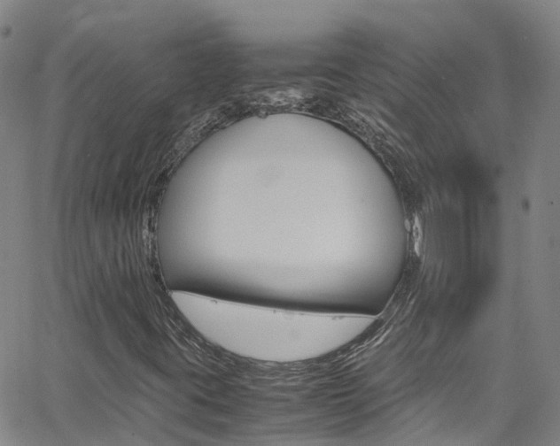 X0000062671395200512211022