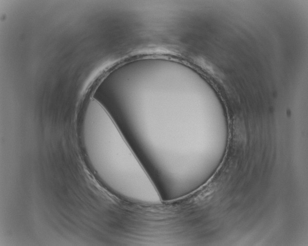 X0000062671408200512211023