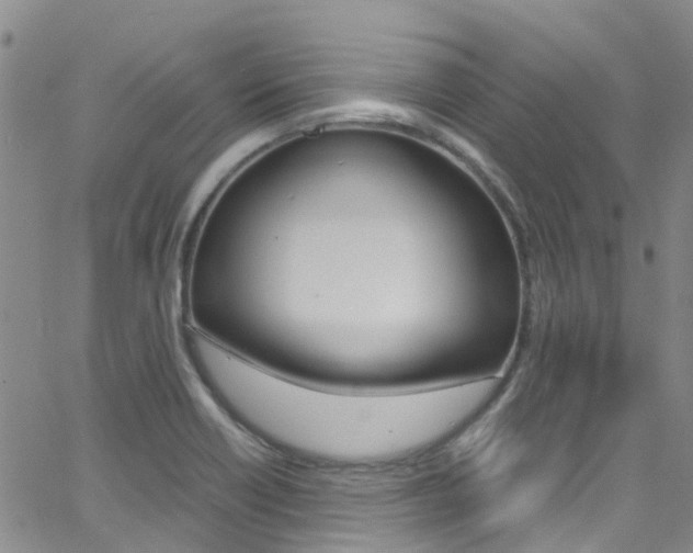 X0000062671418200512211023