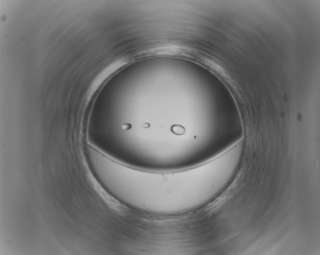 X0000062671426200512211023