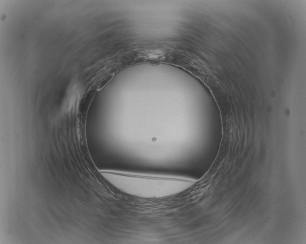 X0000062671442200512211022